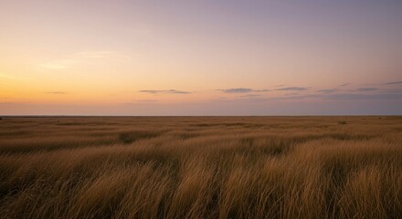 Fototapeta premium Golden prairie glows under pastel skies, a serene vista of grassy plains and soft light at sunset.