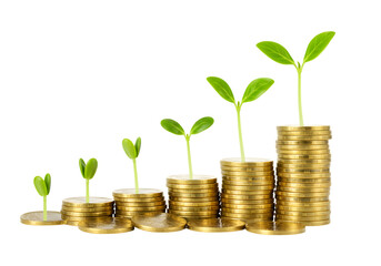 Finance Illustration of Investment Growth with Gold Coins and Saplings