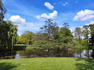City park in Rotterdam in the spring
