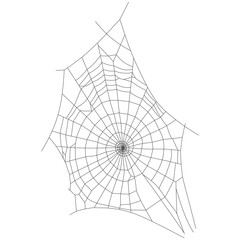 Obraz premium Asymmetrical Spider Web Isolated on White Background – Hand Drawn Illustration eps 4
