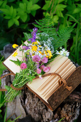 wild forest flowers and magic book in forest, nature background. spring summer season. composition with different flowers and notebook. botany, study of wild herbs, flowers. Green witch magic