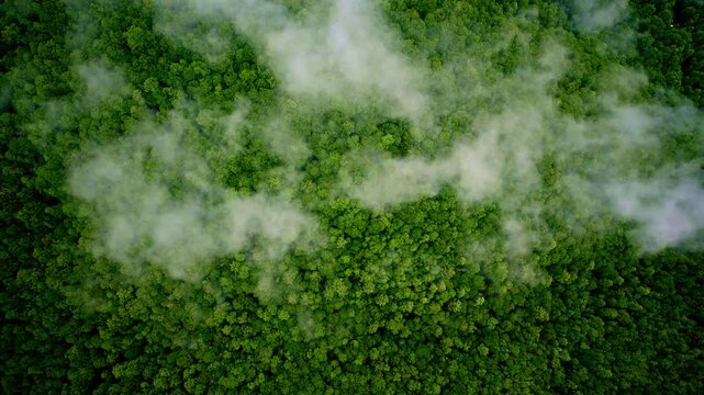 Fog and mist swirl over the Great Smoky Mountains in this drone shot.