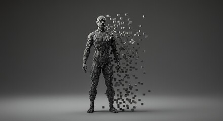 A dark cubed humanoid figure stands on a grey surface with its right side dissolving into scattered blocks