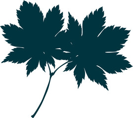 Hand-drawn autumn maple leaves silhouettes isolated on white background. Flat style vector illustration.