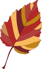 Hand-drawn autumn colored brown maple leaf on white background. Flat style vector illustration.