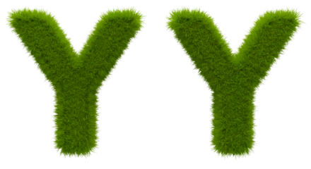 Illustration Letter Y Grass Texture Green Alphabet on Transparent