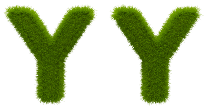 Illustration Letter Y Grass Texture Green Alphabet on Transparent