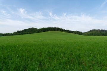 Obraz premium Lush green meadow with rolling hills under a clear blue sky, showcasing vibrant grass and distant tree line, creating a serene and tranquil natural landscape