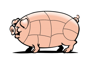 Large, thick pig with lines for the different cuts of meat