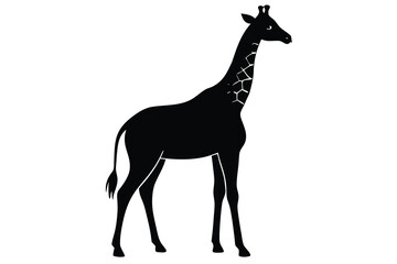 Fototapeta premium giraffe silhouette vector icon