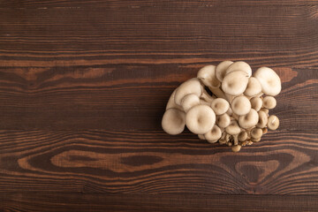 Raw Oyster mushroom, Pleurotus ostreatus on brown wooden, Top view, copy space