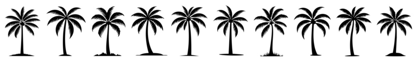 Obraz premium Coconut Tree Silhouettes Collection In Various Shapes And Angles Representing Tropical Iconography With Minimal Flat Black Vector Design Isolated On White Background