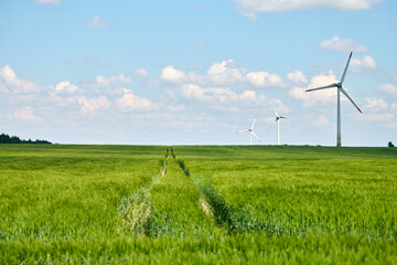Three wind turbines standing in lush green wheat field with bright blue sky and scattered white...