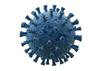 Isolated Detailed Coronavirus Cell Structure