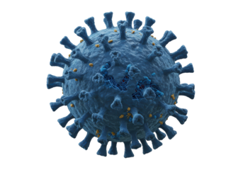 Isolated Detailed Coronavirus Cell Structure
