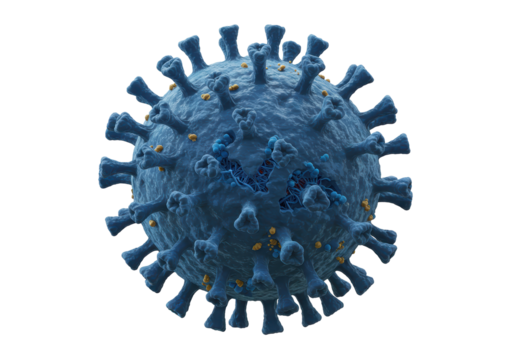 Isolated Detailed Coronavirus Cell Structure