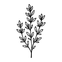 Minimal botanical line art vector