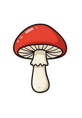 Illustration Red Mushroom Toadstool Isolated on Transparent Background