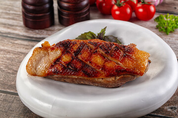 Roasted duck breast fillet meat