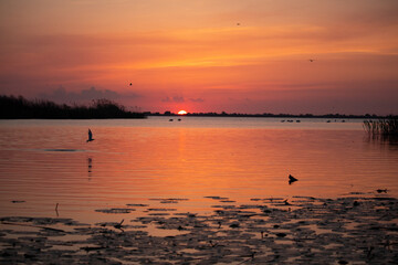 Sonnenaufgang über dem Wasser