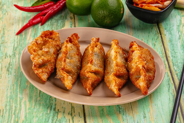 Asian fried stuffed dumplings gyoza