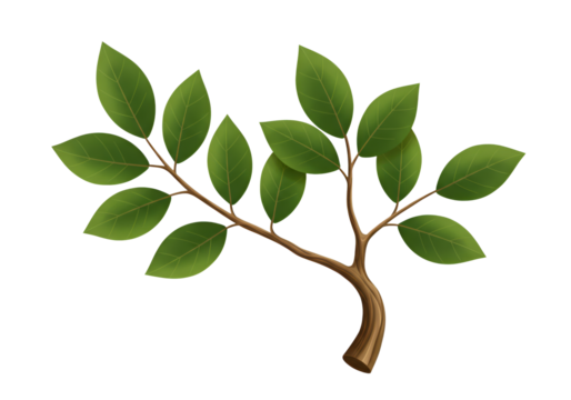 Leafy sprig illustration shows a verdant branch with lush green foliage against a clean black background, offering natural elegance.