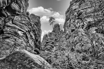 Rugged rock formations with a tree on the summit, surrounded by green vegetation