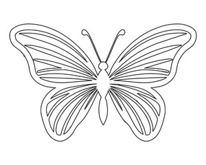 Butterfly Outline