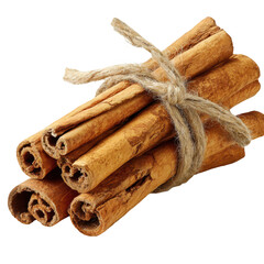 Tied bundle of cinnamon sticks (1)