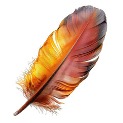 Vibrant bird feather, warm colors,  detailed texture