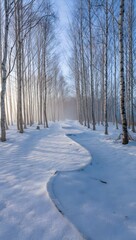 Obraz premium Snowy Path Through Birch Forest - Winter Landscape