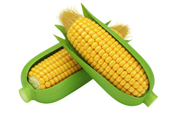 Isolated Fresh Corn on the Cob with Green Husks