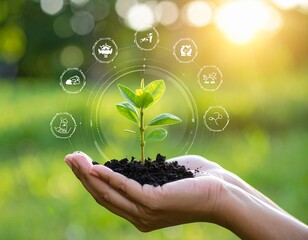Hand Holding Small Tree with Digital Sustainability Icons – Eco Concept for Environmental Protection and Green Energy