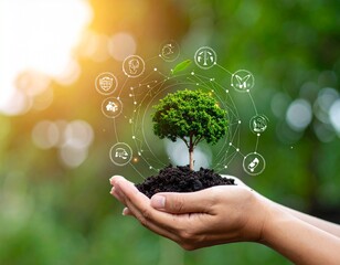 Hand Holding Small Tree with Digital Sustainability Icons – Eco Concept for Environmental Protection and Green Energy