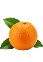Isolated Still Life of a Single Orange Fruit on Transparent Background