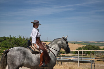 Young, beautiful, blonde woman in white shirt, leather chaps, riding boots and hat, riding her horse in the countryside. Concept animals, riding, horses, sport.