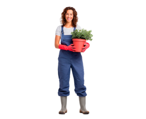Woman holding potted plant in overalls for gardening and home decor concepts on transparent background, PNG