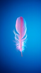 Explore the delicate beauty of a pink feather against a vibrant blue background art