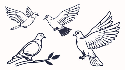 Obraz premium Collection of stylized dove illustrations in various flying and perched poses
