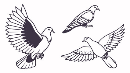 Obraz premium Three elegant line art pigeons in flight symbolizing peace and freedom