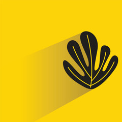 leaf with shadow on yellow background