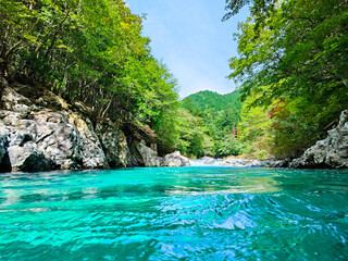 Fototapeta premium 阿寺渓谷 夏