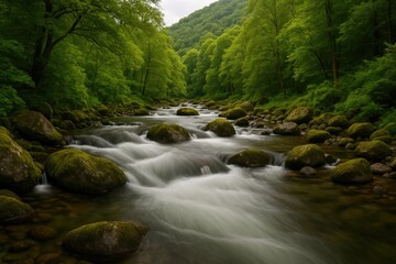 Obraz premium Nighttime long exposure shot in the scenic lakes area