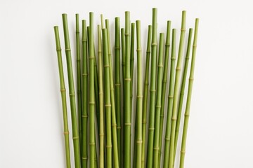 Fototapeta premium Numerous bamboo canes displayed against a plain white backdrop