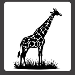 Obraz premium Graceful giraffe standing in profile with long neck and spots, an isolated wildlife vector illustration on a white background