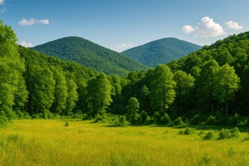 Fototapeta premium Scenic natural scenery and forested areas in the summer months of a southeastern European country