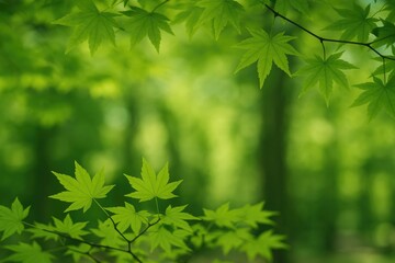 Iconic symbol of Canada