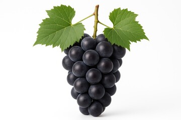 Fototapeta premium Vineyard with ripe Kyoho grapes and fresh fruit captured in a professional studio setting against a white backdrop