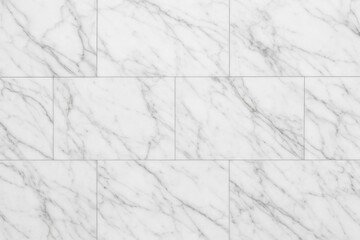 Obraz premium Elegant marble flooring as a backdrop