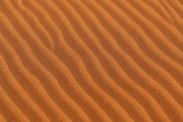 Authentic surface textures of the desert landscape